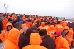 С пометкой «кризис» - 24 безработных С пометкой «кризис» - 24 безработных